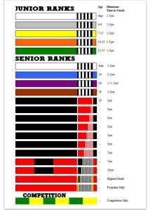 What is your bjj rank? what is your goal?